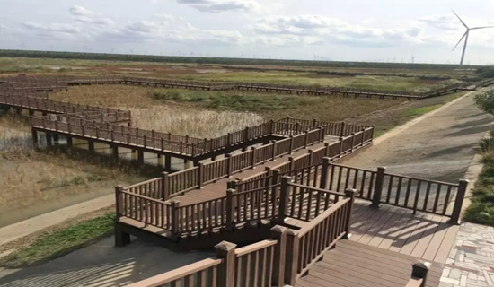 黃海森林公園觀鳥臺全景展示 黃海森林公園觀鳥臺全景展示