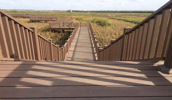 黃海森林公園 黃海森林公園